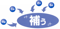 必須ミネラルを補う